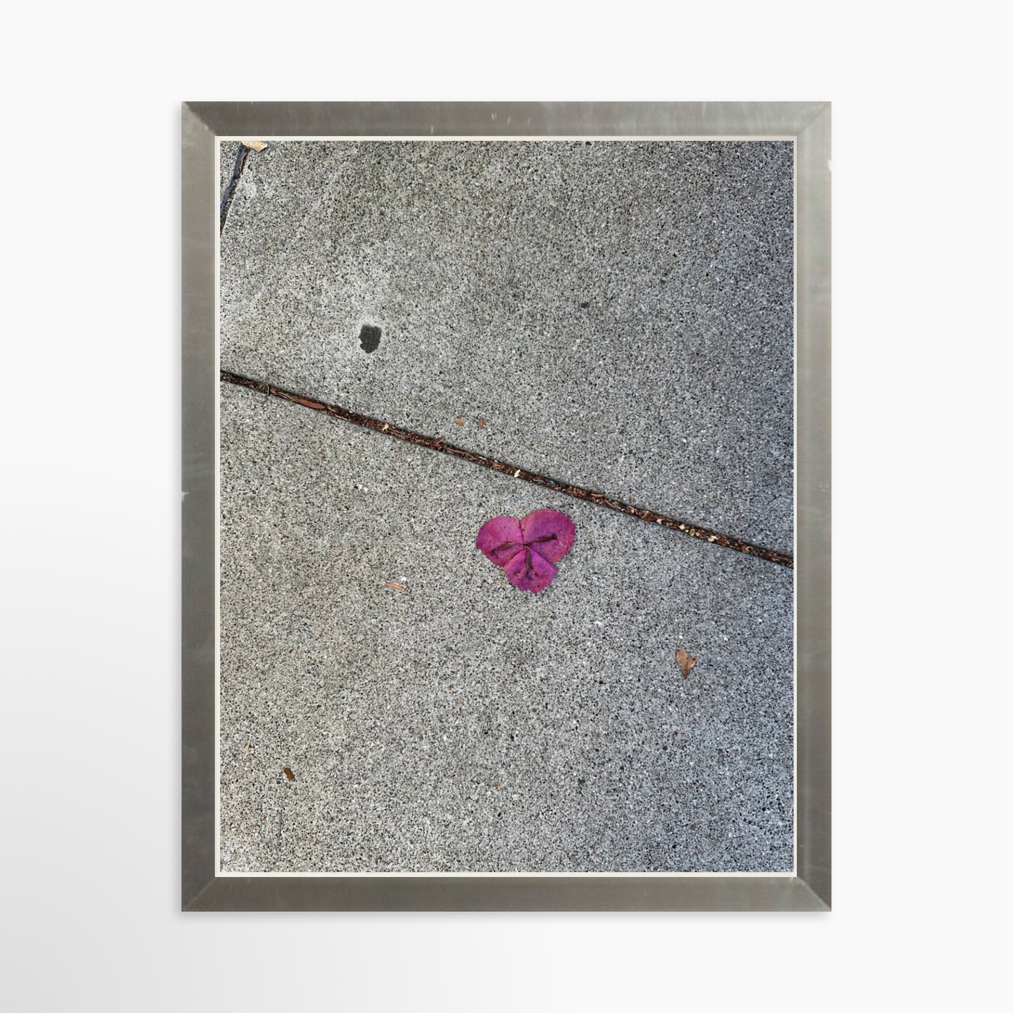 8" x  10" / Silver / No Mat