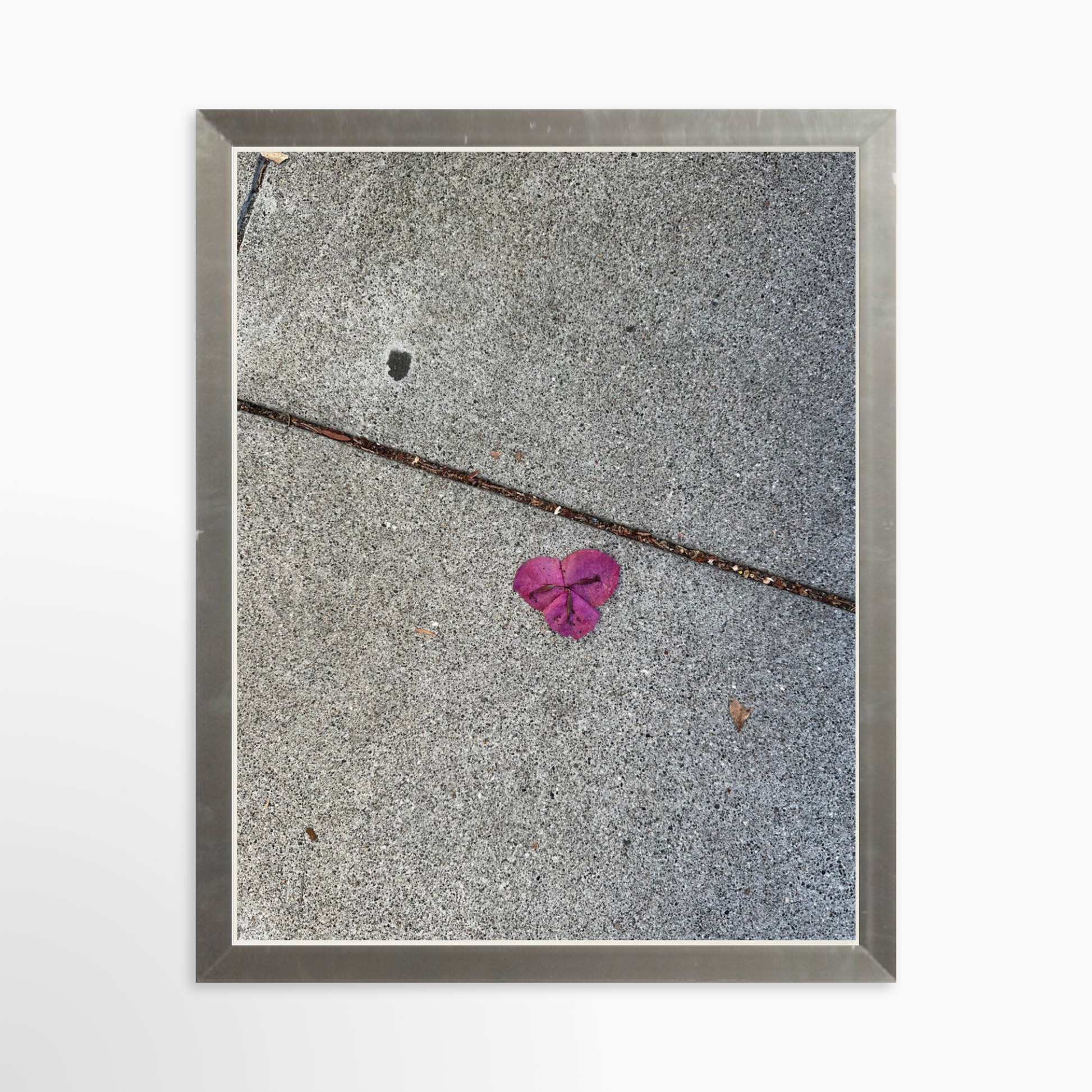 8" x  10" / Silver / No Mat