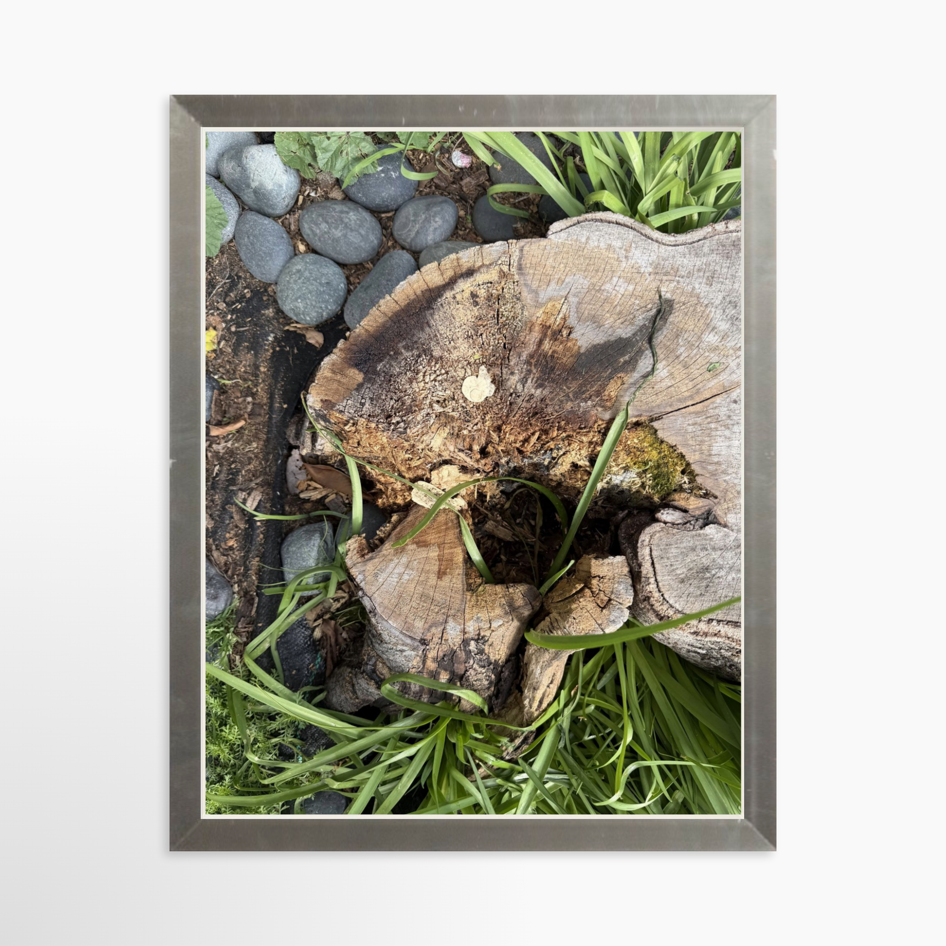 8" x  10" / Silver / No Mat