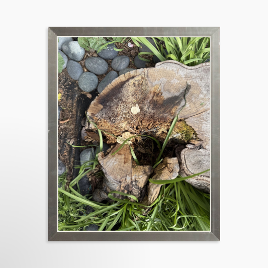 8" x  10" / Silver / No Mat