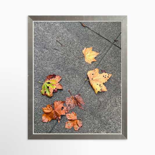 8" x  10" / Silver / No Mat