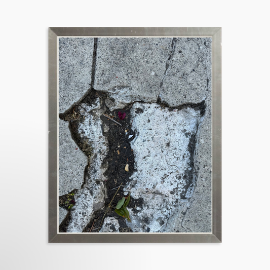 8" x  10" / Silver / No Mat