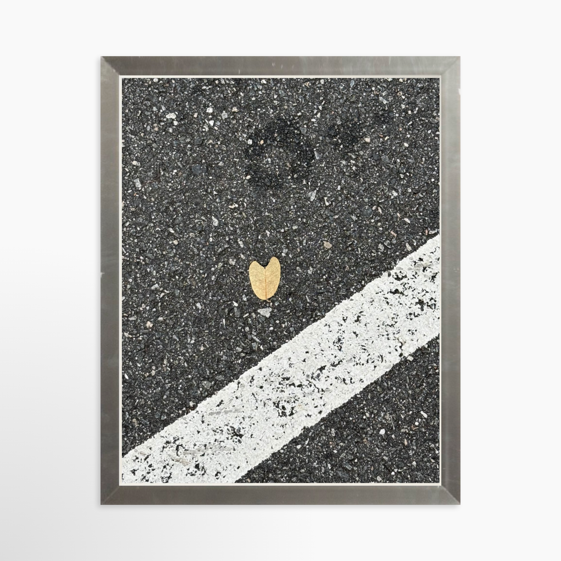 8" x  10" / Silver / No Mat