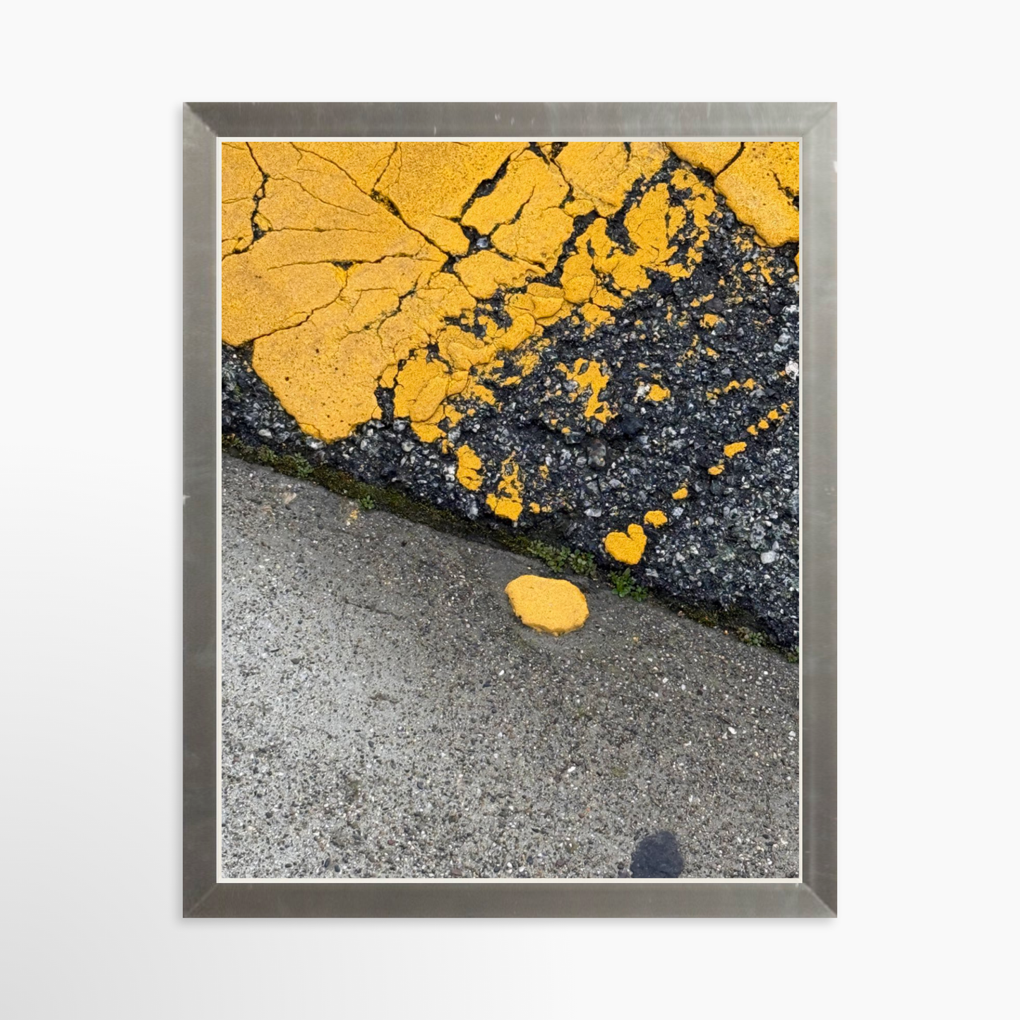 8" x  10" / Silver / No Mat