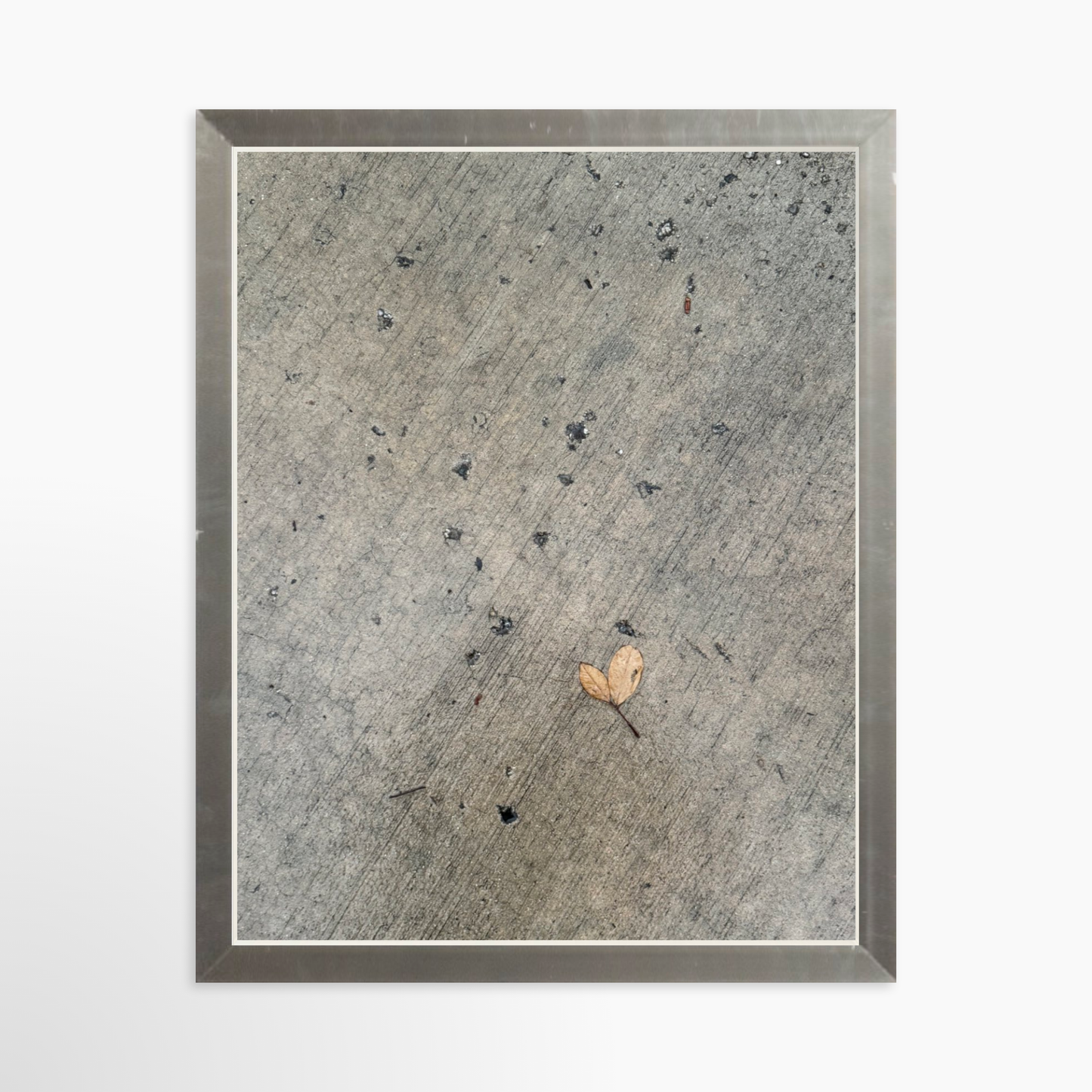 8" x  10" / Silver / No Mat