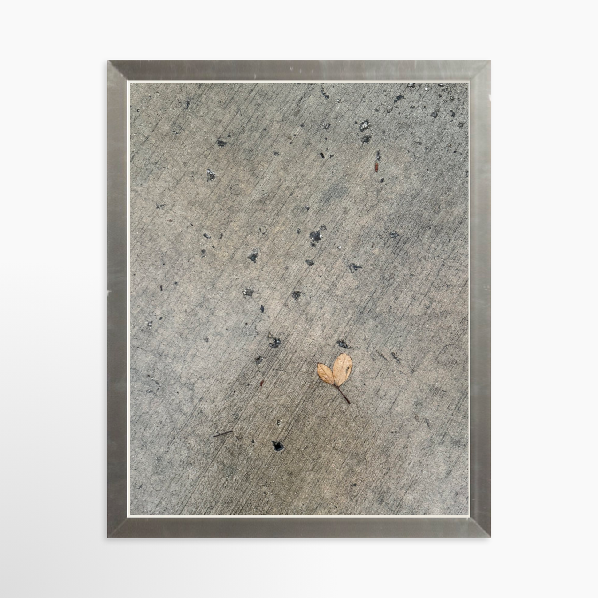 8" x  10" / Silver / No Mat