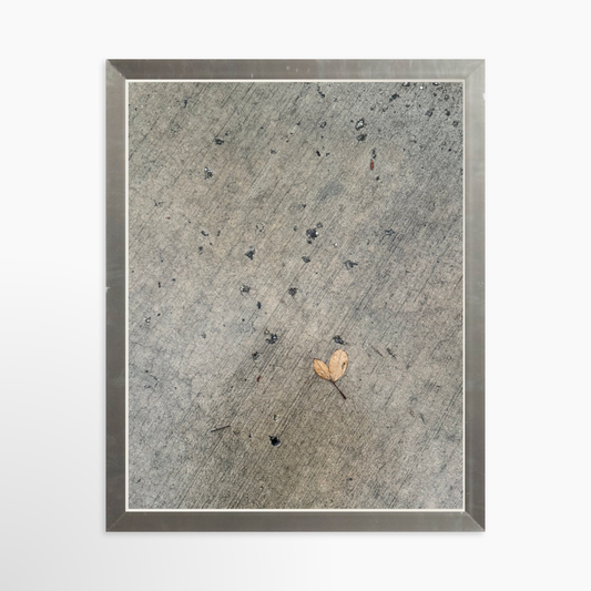 8" x  10" / Silver / No Mat