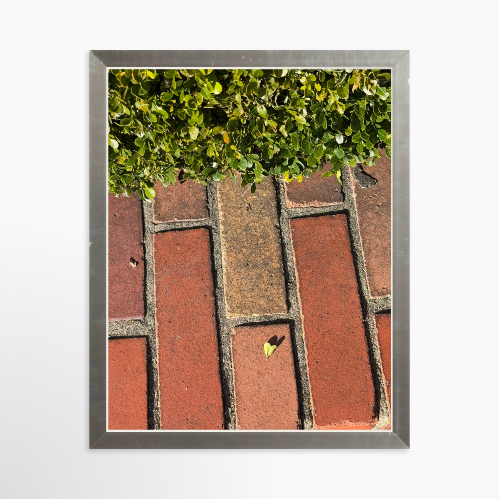 8" x  10" / Silver / No Mat