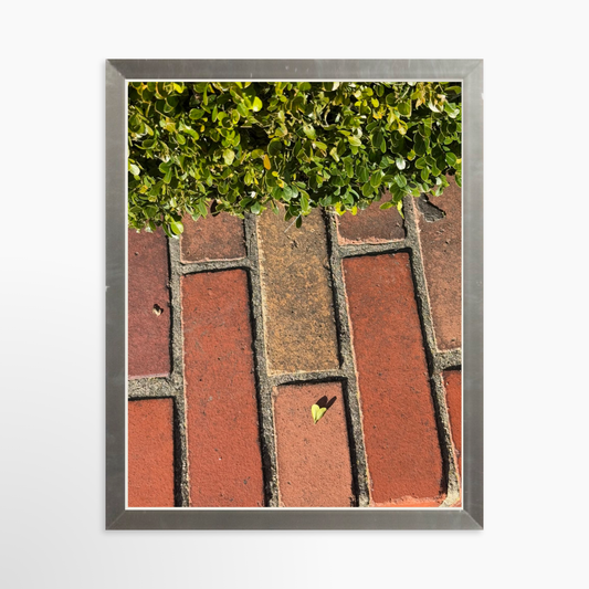 8" x  10" / Silver / No Mat