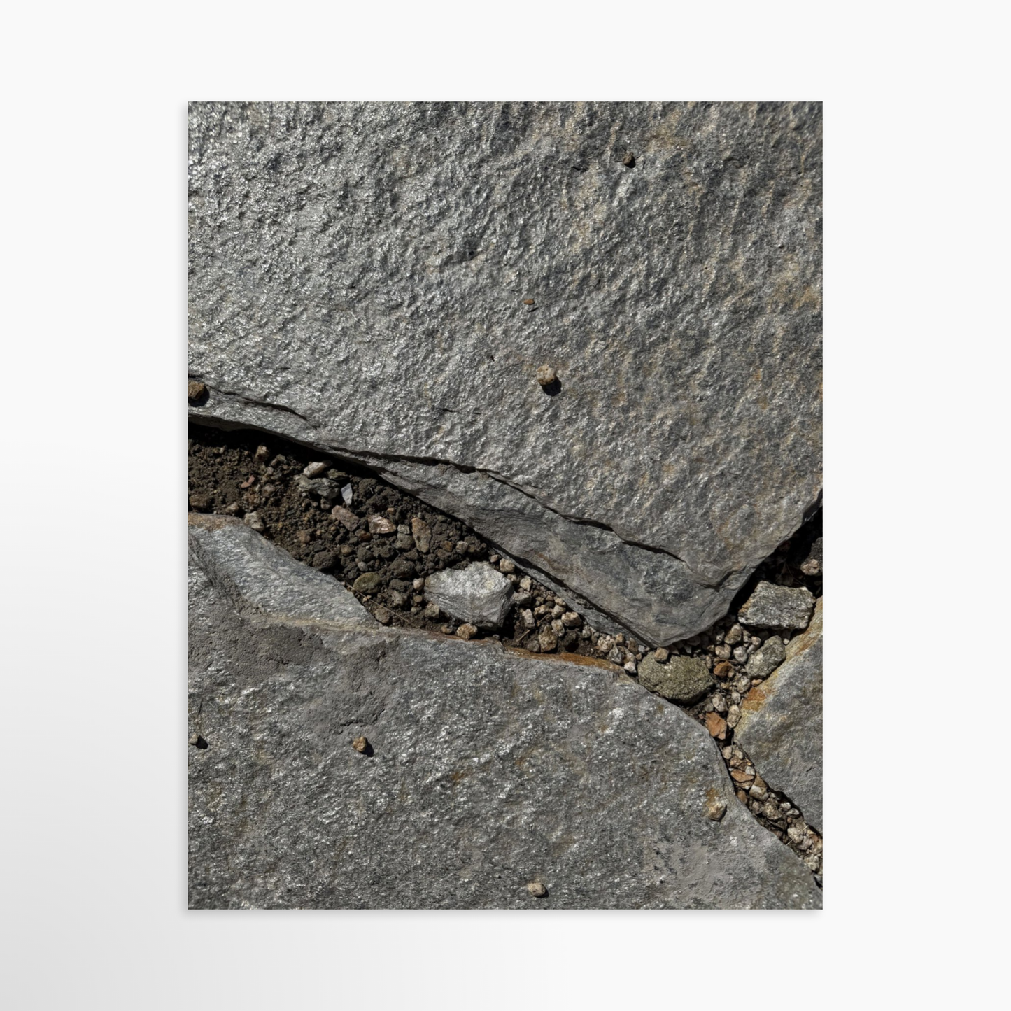 11" x 14" / Unframed / No Mat