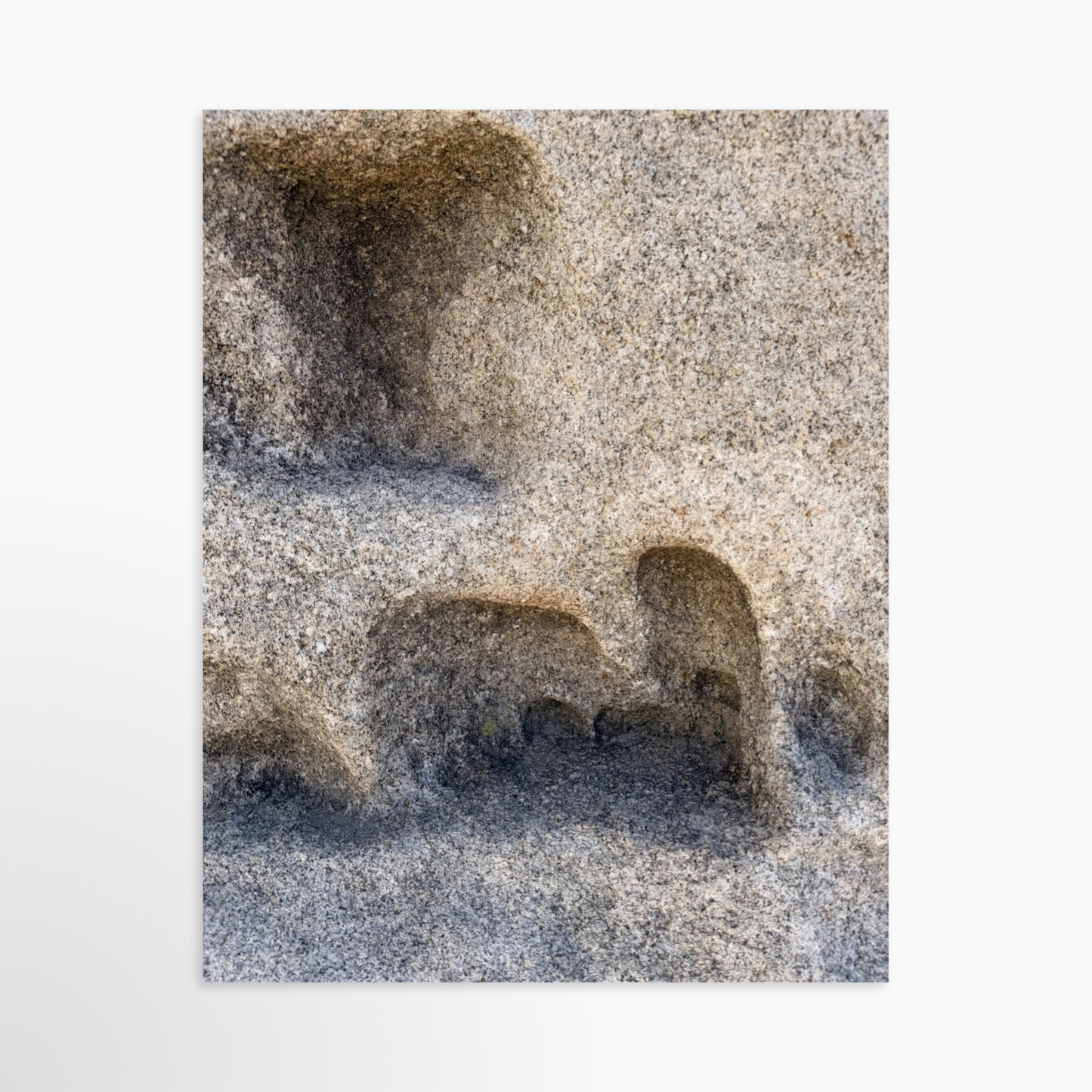 11" x 14" / Unframed / No Mat
