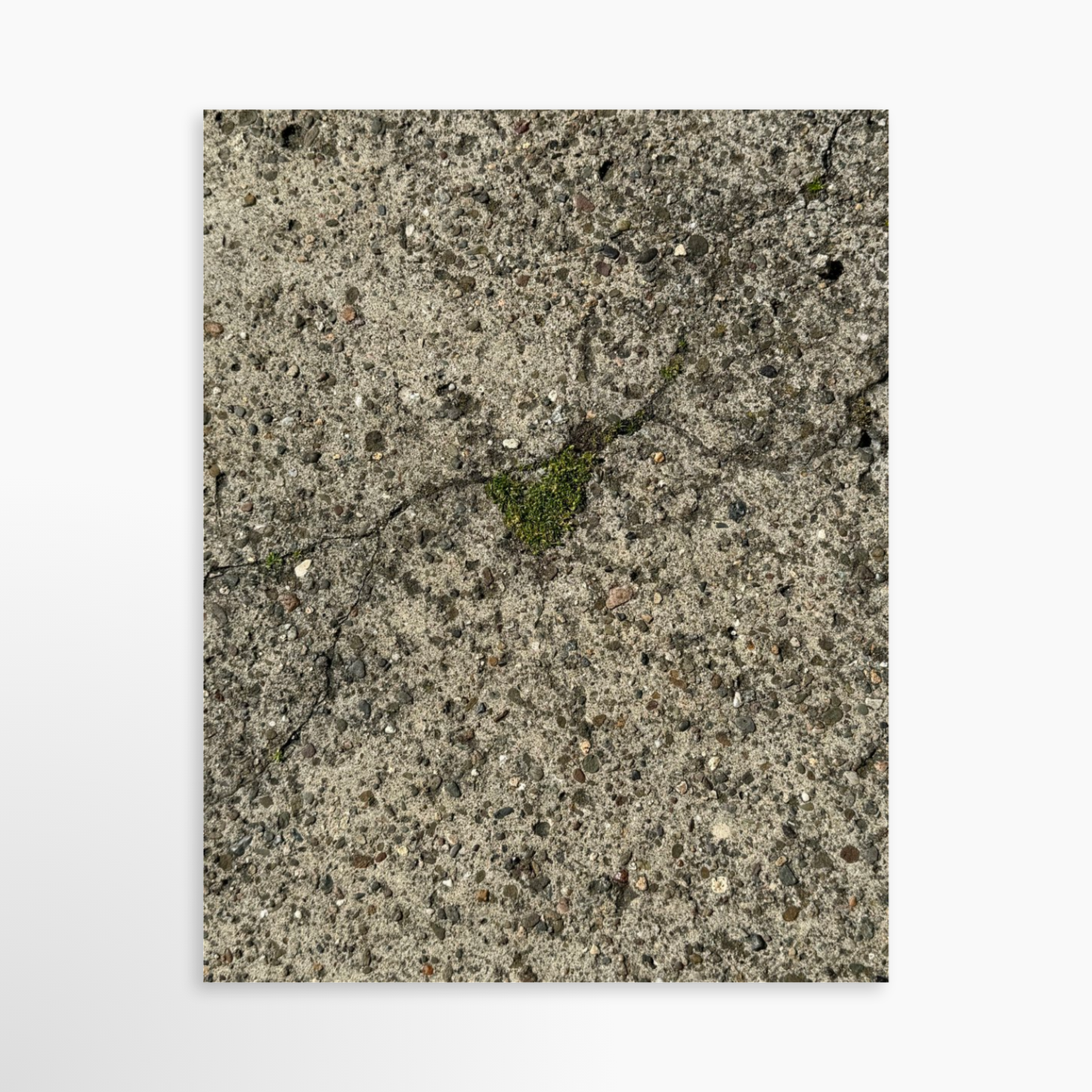 11" x 14" / Unframed / No Mat