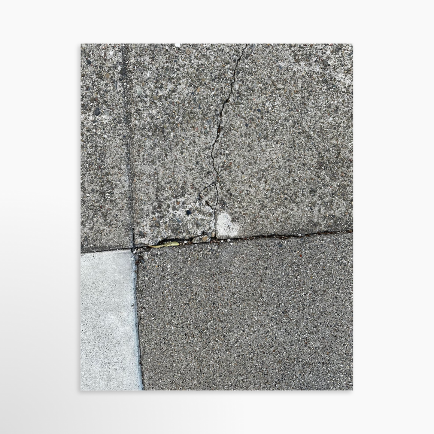 11" x 14" / Unframed / No Mat