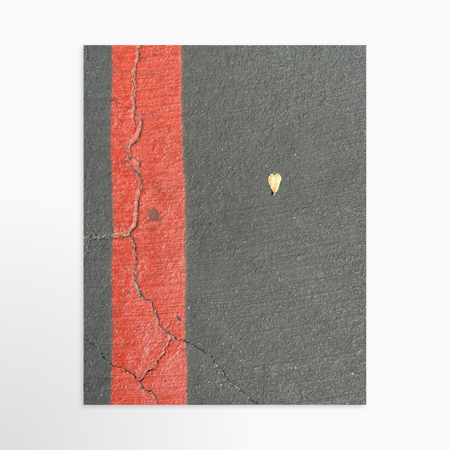 11" x 14" / Unframed / No Mat