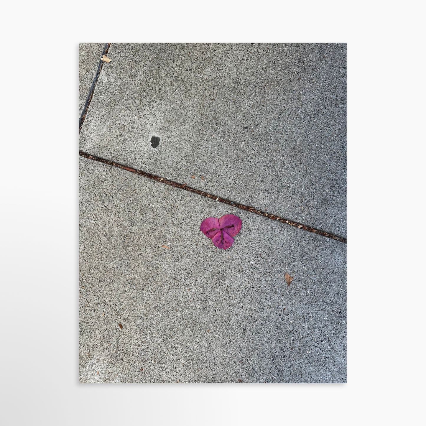 11" x 14" / Unframed / No Mat