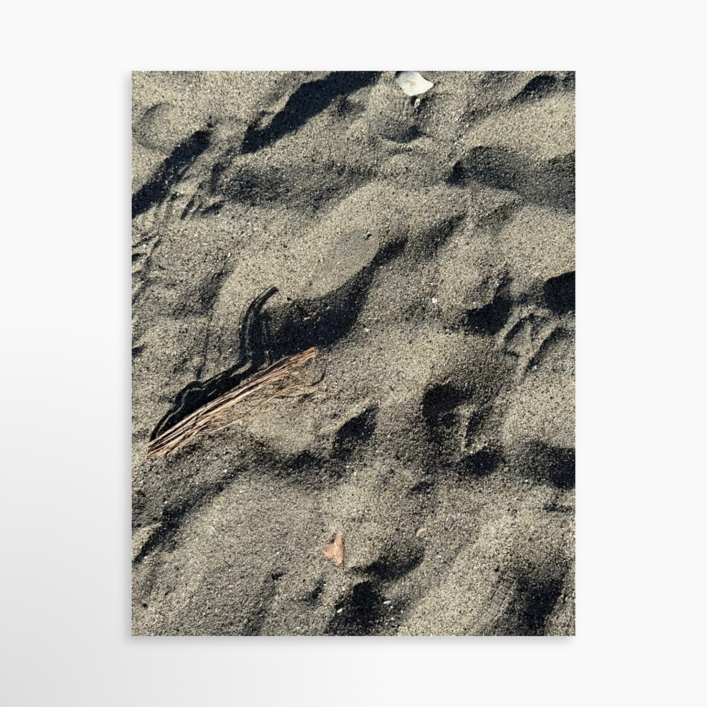 11" x 14" / Unframed / No Mat