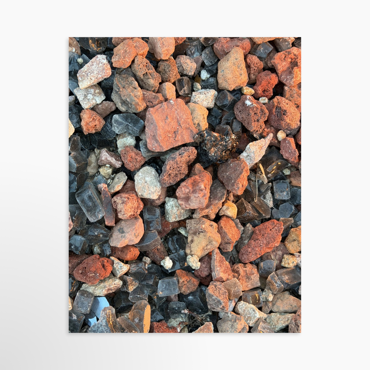 11" x 14" / Unframed / No Mat