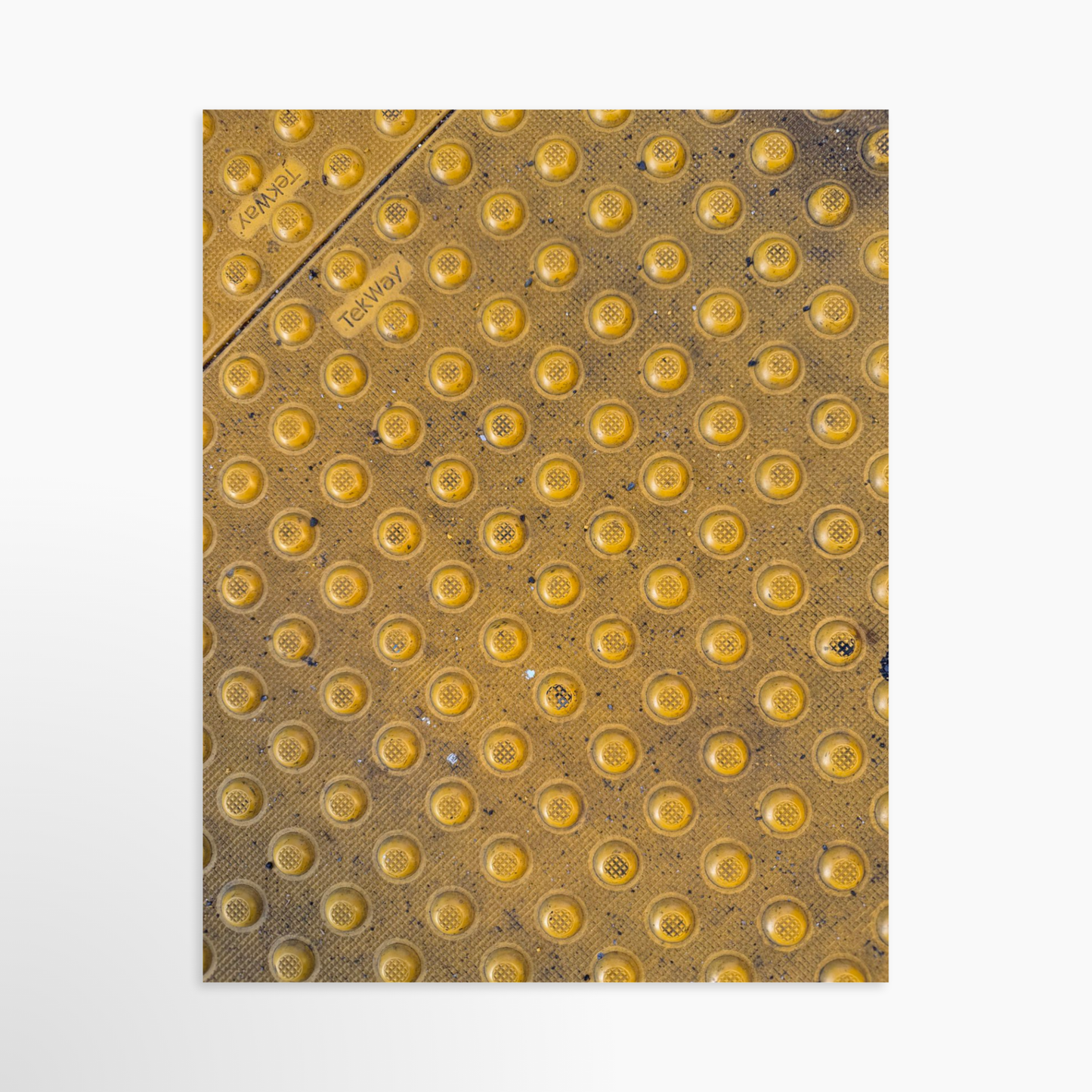 11" x 14" / Unframed / No Mat