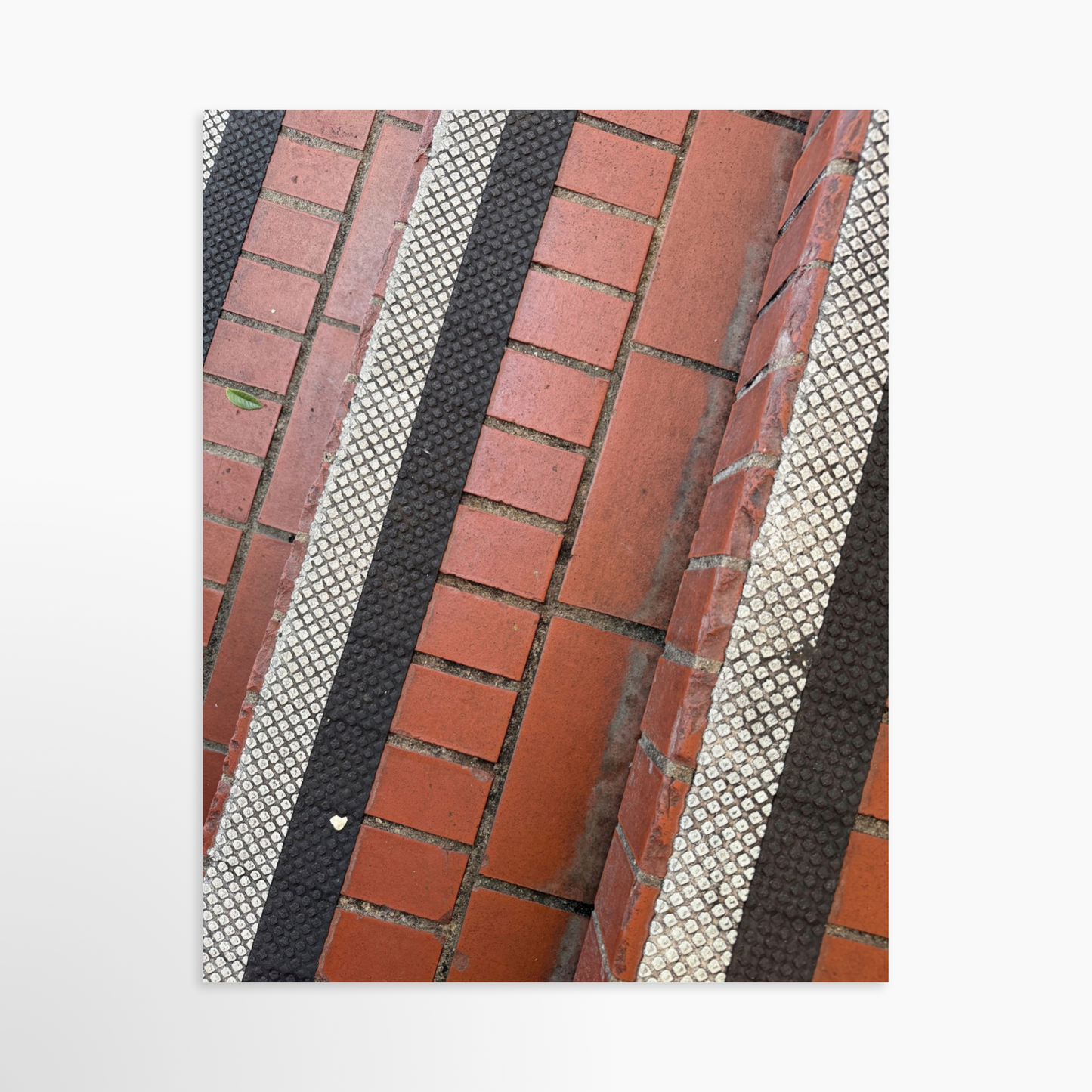 11" x 14" / Unframed / No Mat