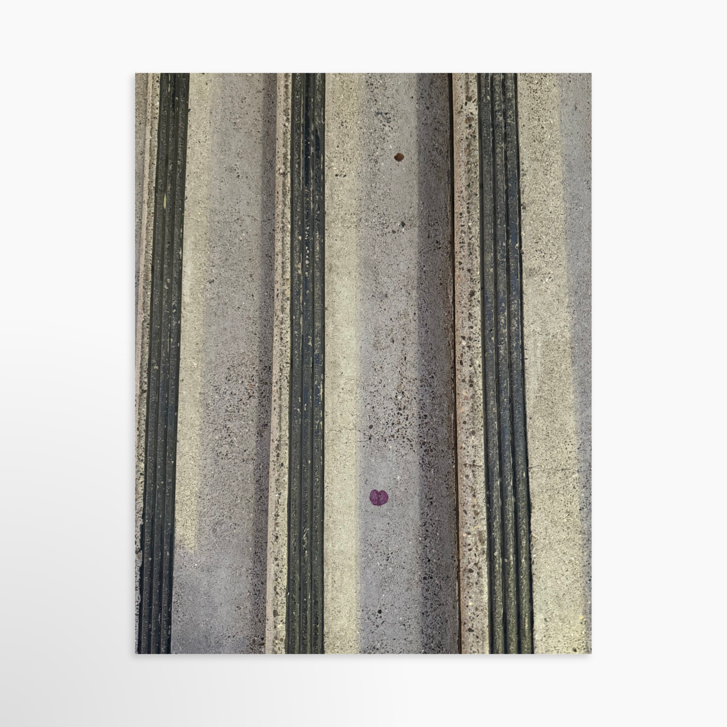 11" x 14" / Unframed / No Mat