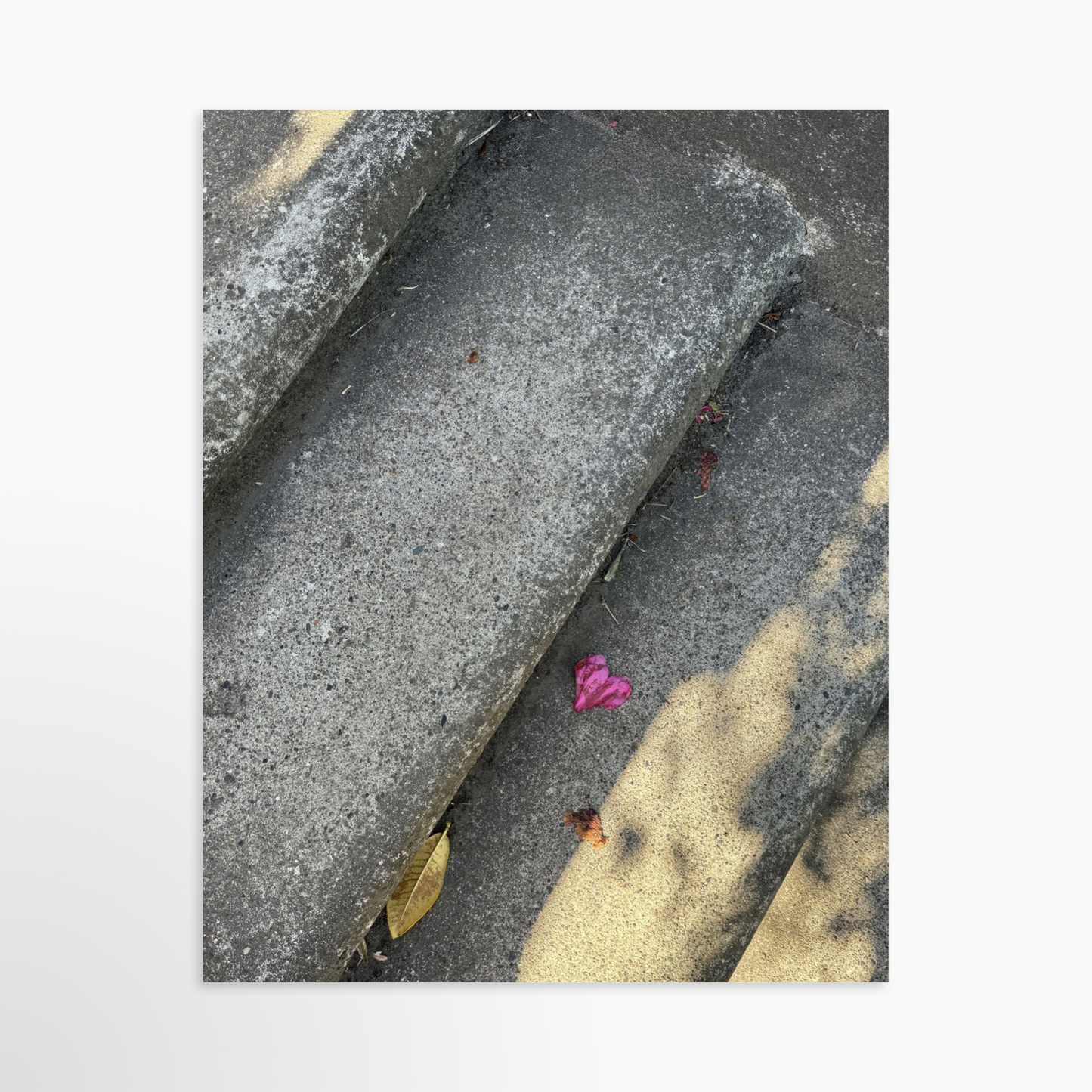 11" x 14" / Unframed / No Mat