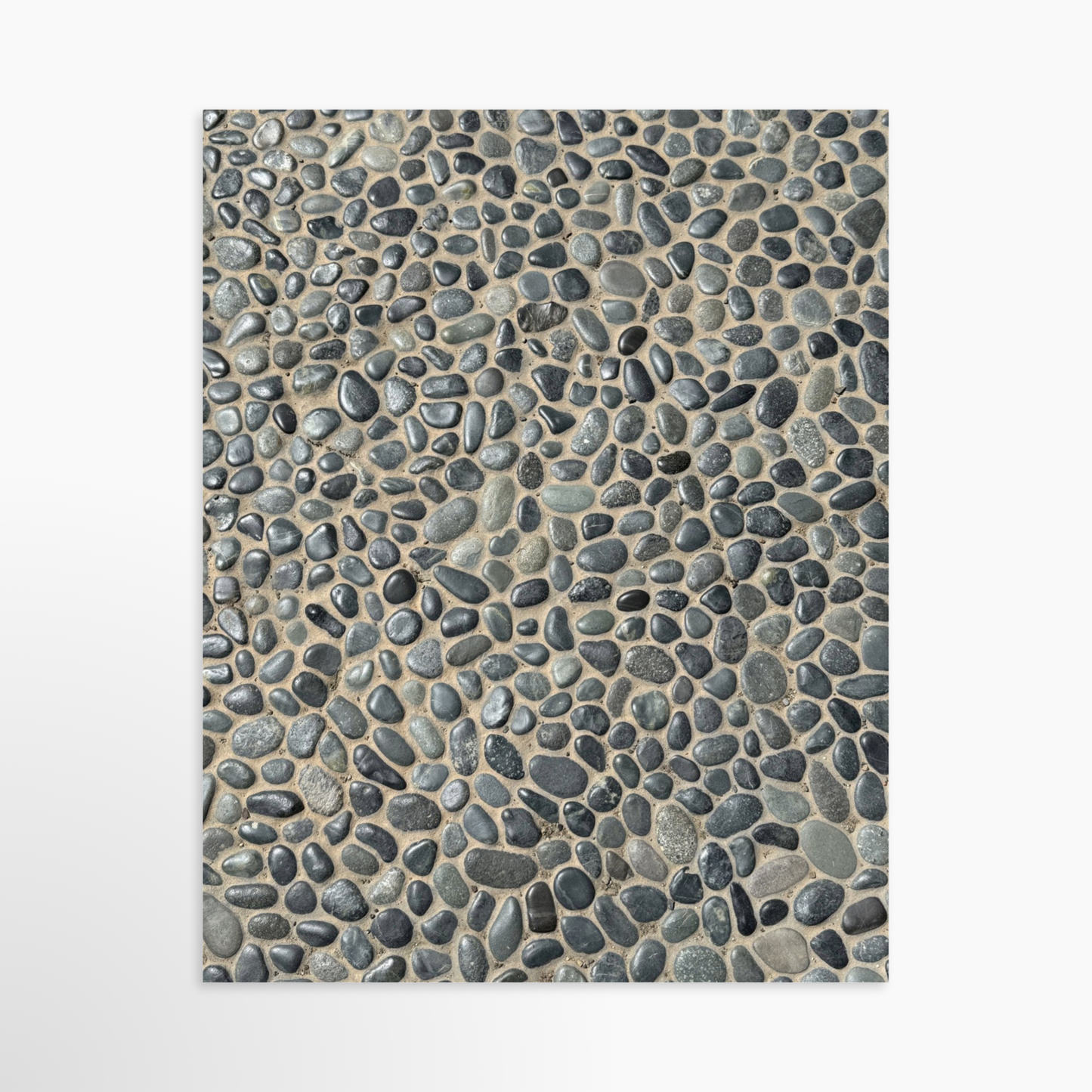 11" x 14" / Unframed / No Mat