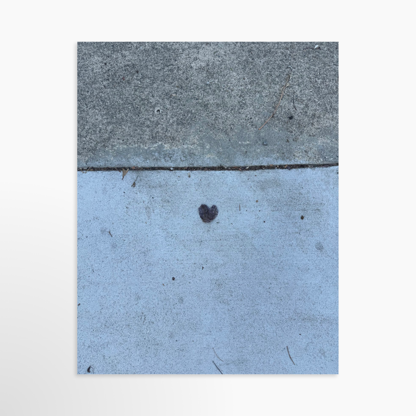 11" x 14" / White / Mat