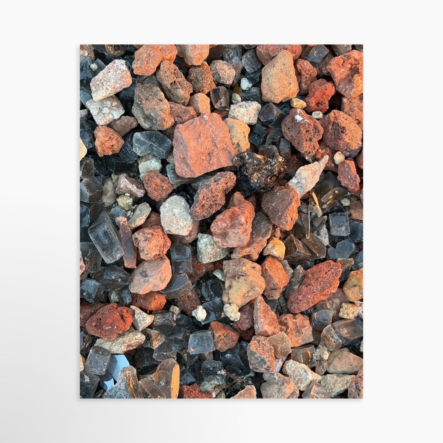 8" x  10" / Unframed / No Mat