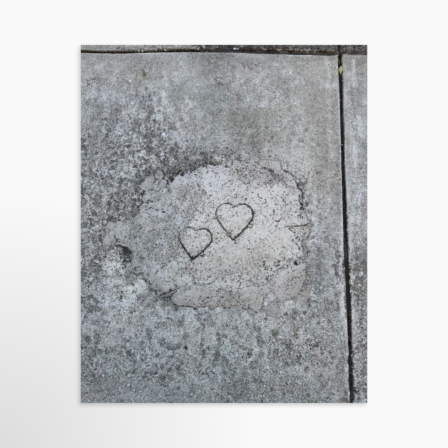 8" x  10" / Unframed / No Mat