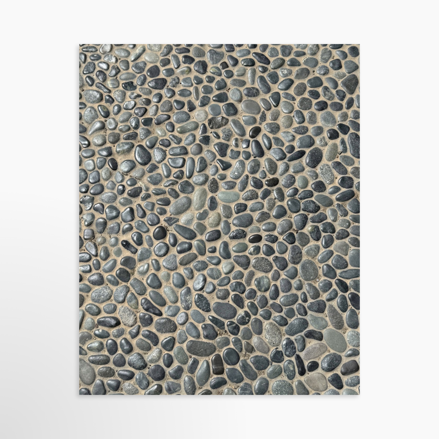 8" x  10" / Unframed / No Mat