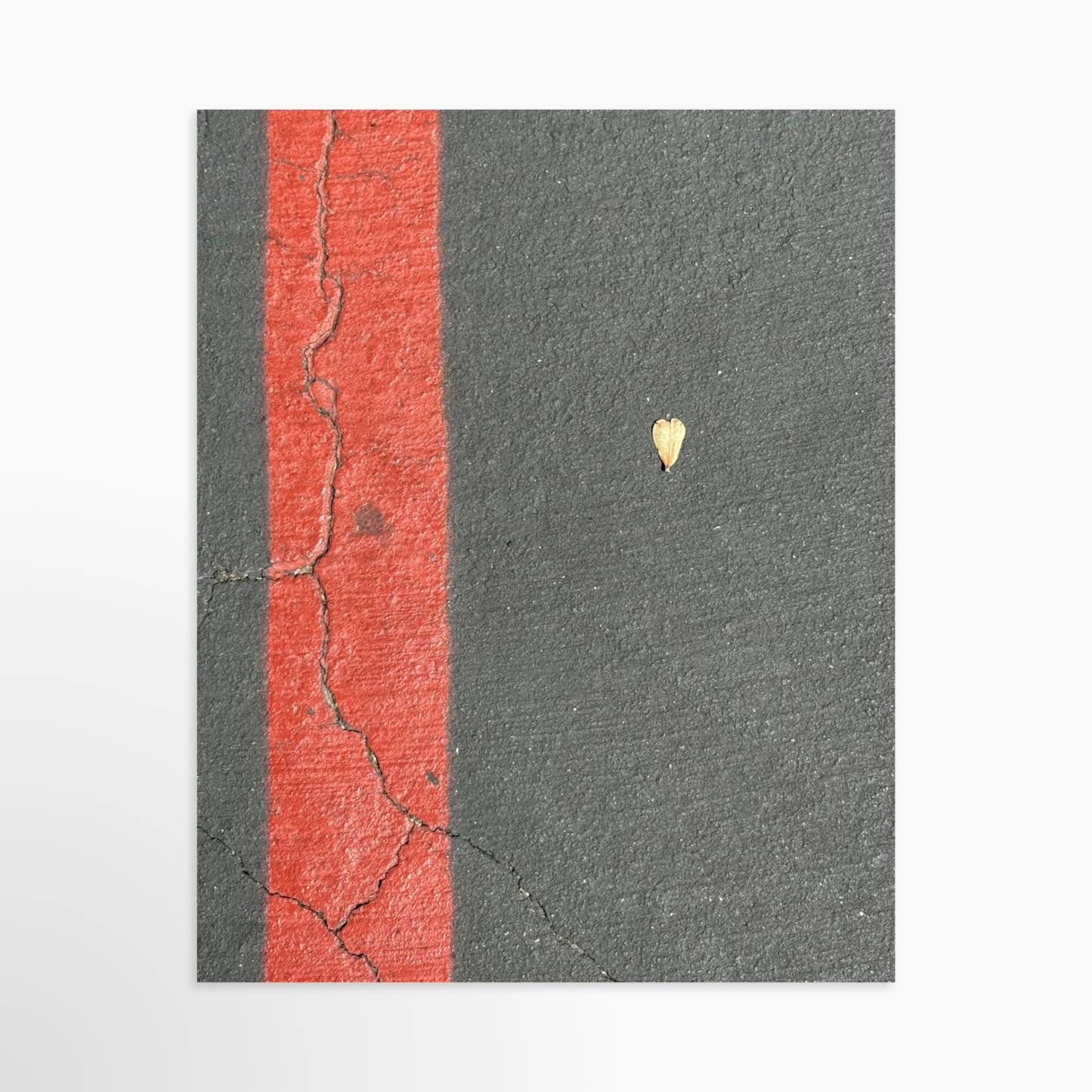 8" x  10" / Unframed / No Mat