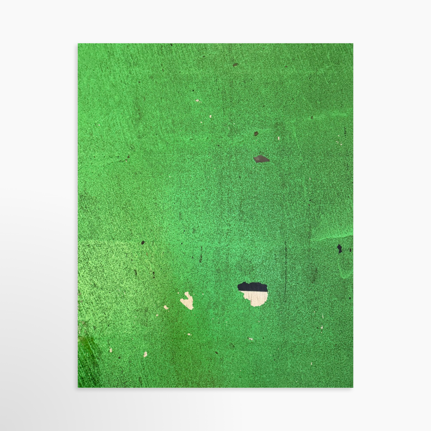 8" x  10" / Unframed / No Mat