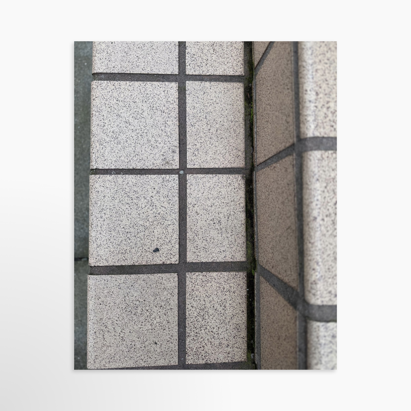 8" x  10" / Unframed / No Mat