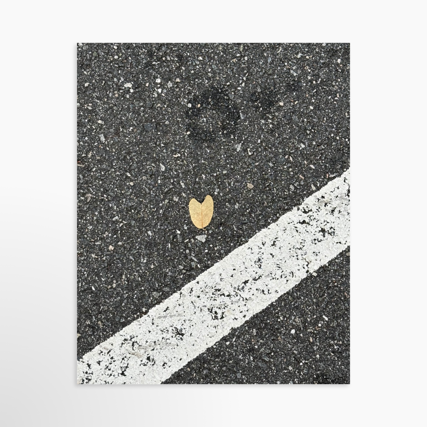 8" x  10" / Unframed / No Mat