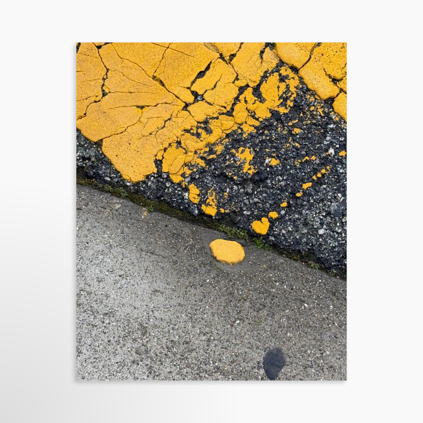 8" x  10" / Unframed / No Mat