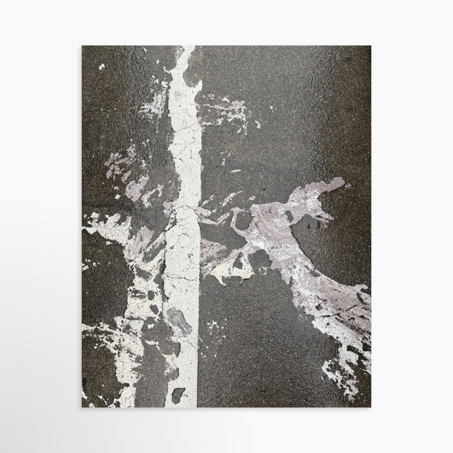 8" x  10" / Unframed / No Mat