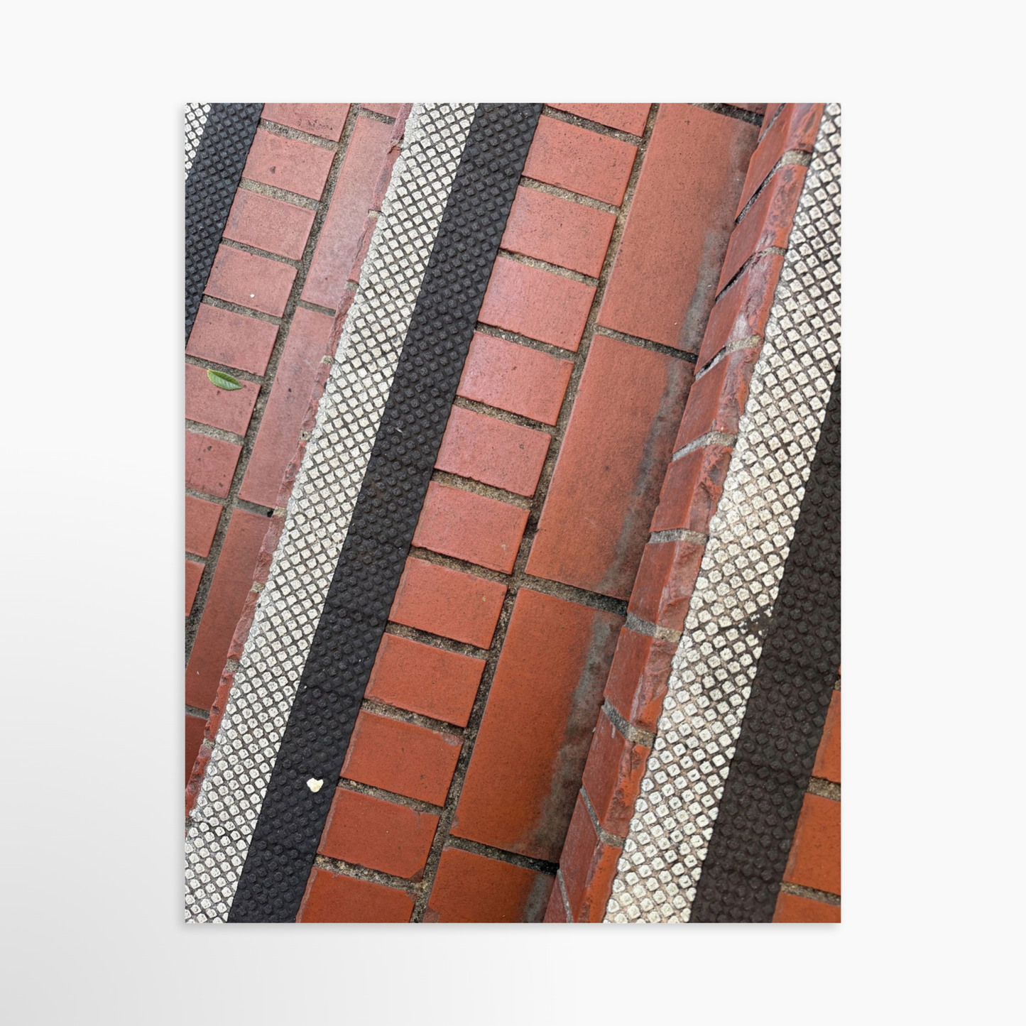 8" x  10" / Unframed / No Mat