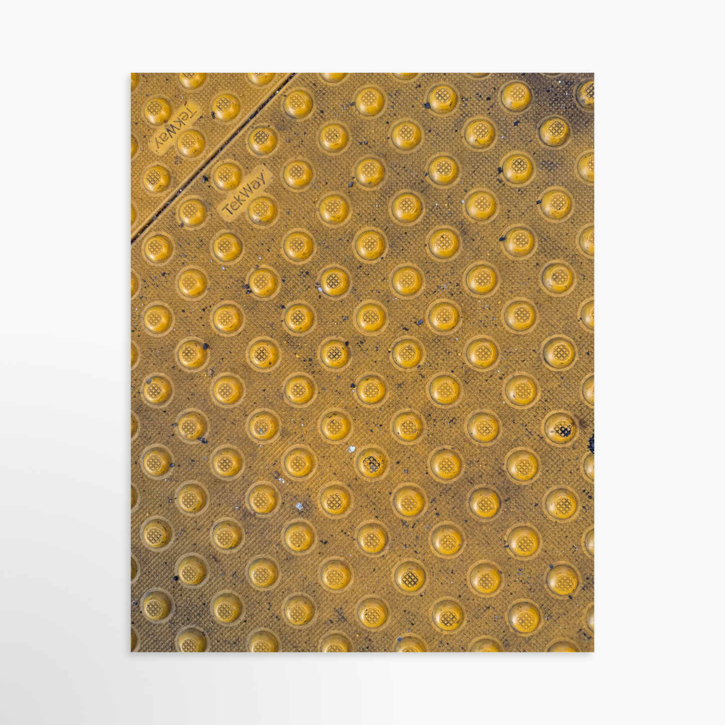 8" x  10" / Unframed / No Mat