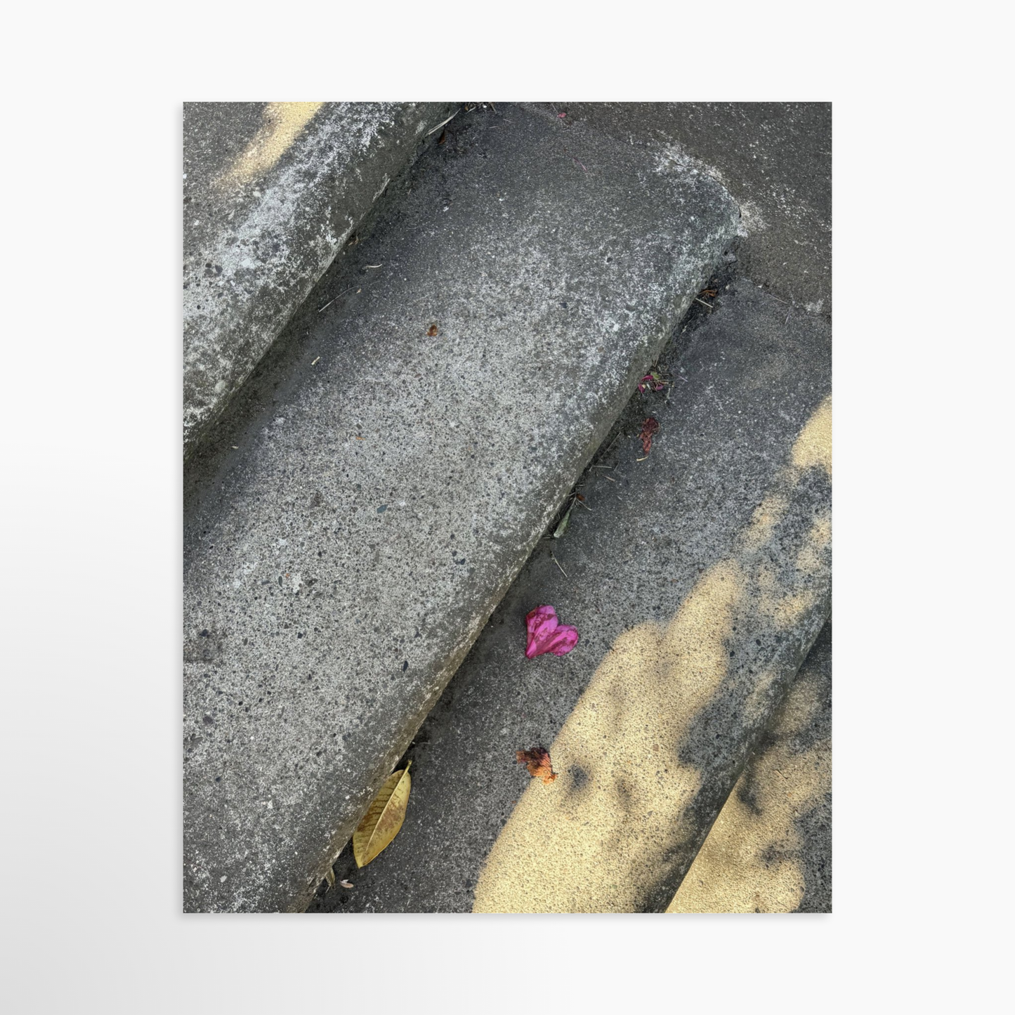 8" x  10" / Unframed / No Mat