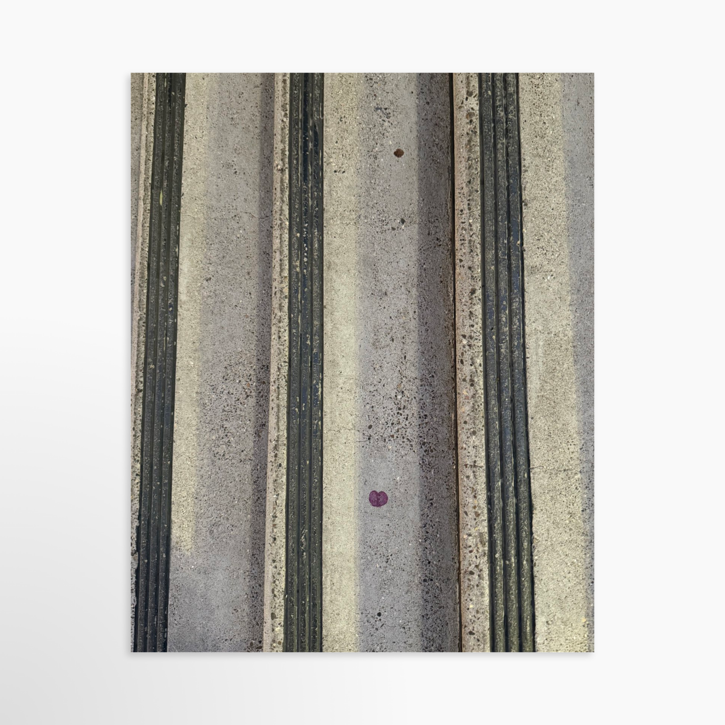 8" x  10" / Unframed / No Mat