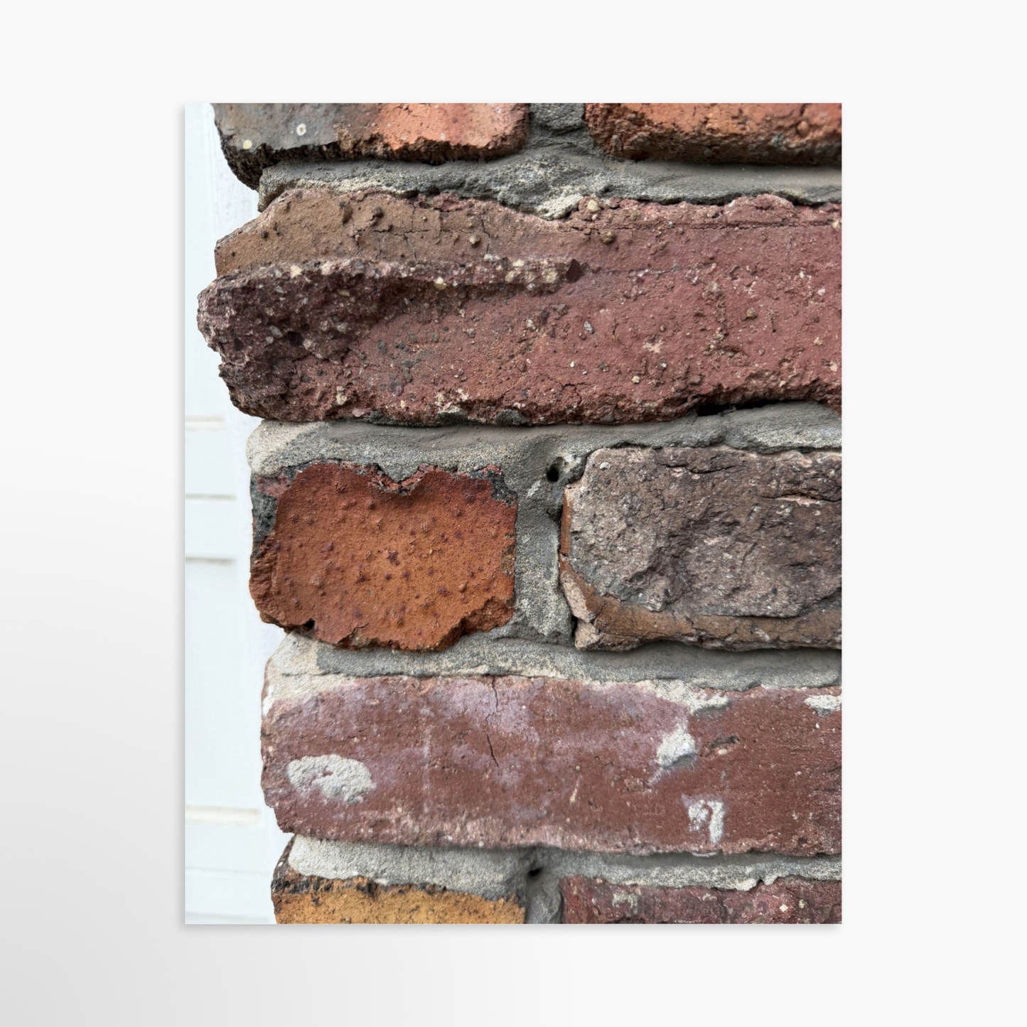 8" x  10" / Unframed / No Mat