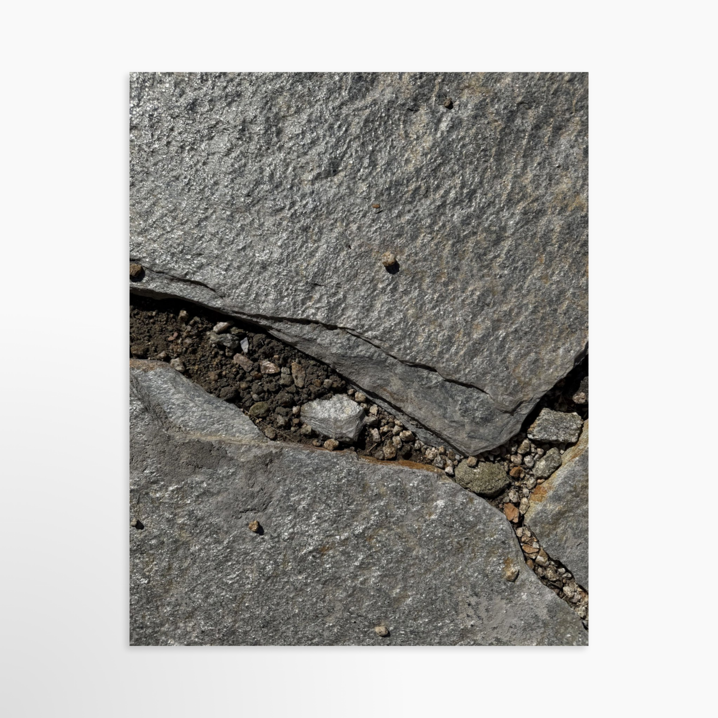 8" x  10" / Unframed / No Mat