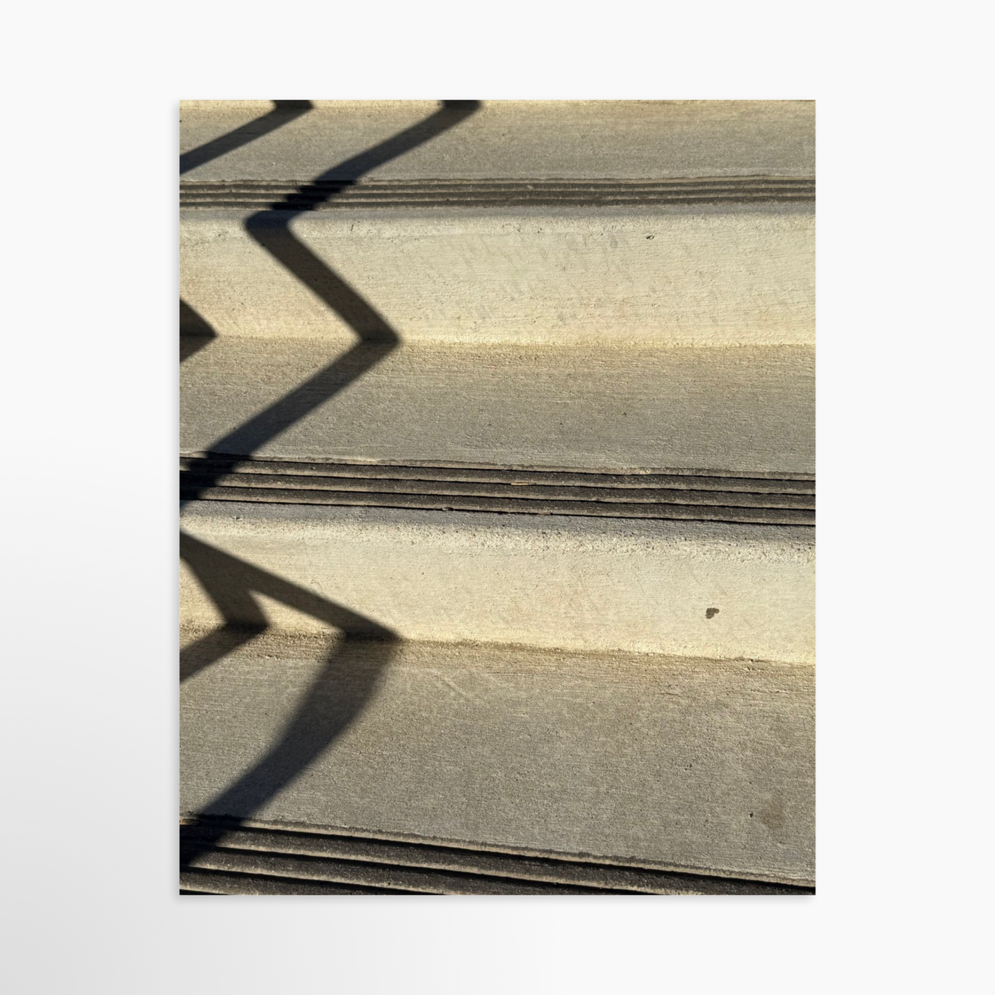 8" x  10" / Unframed / No Mat