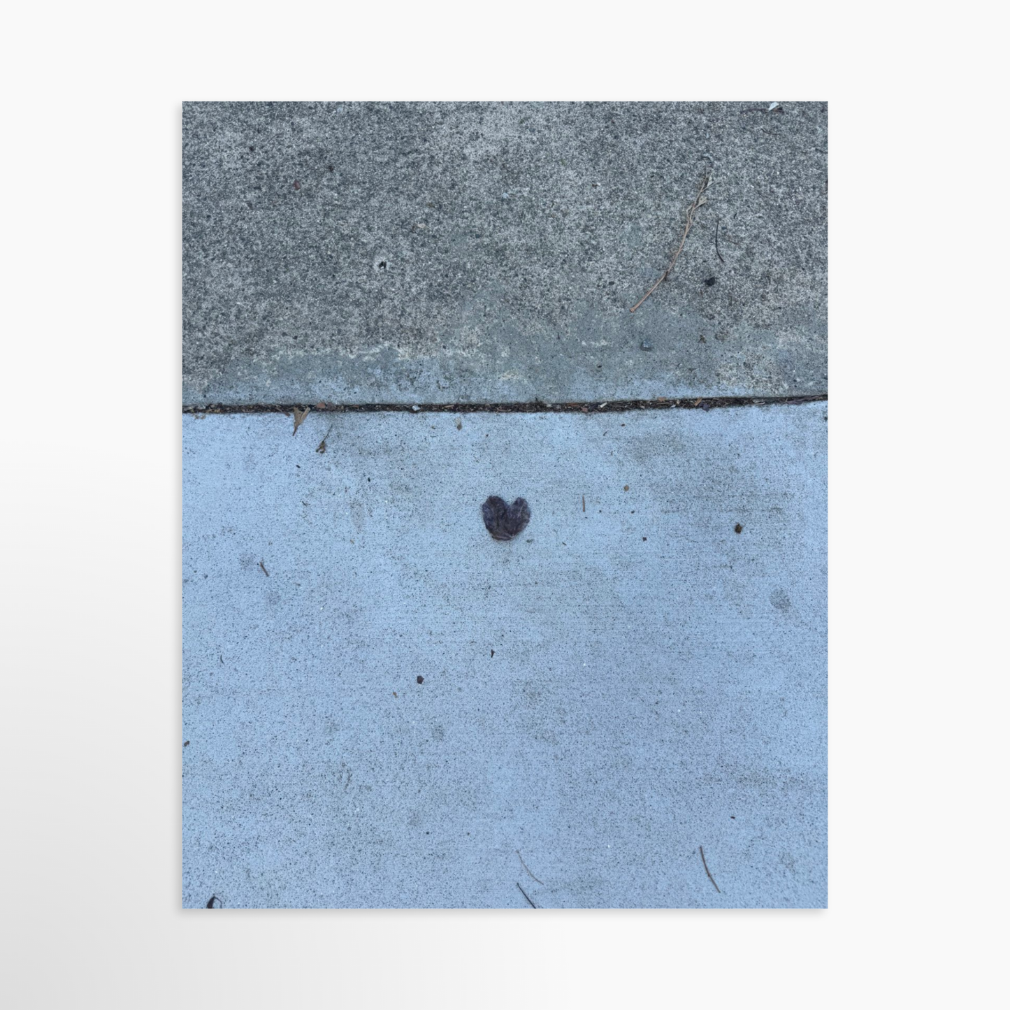 8" x  10" / Unframed / No Mat